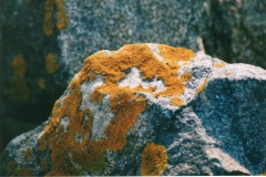 Encrusted-Boulder-Small