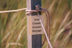 Sign-On-Dune-Small